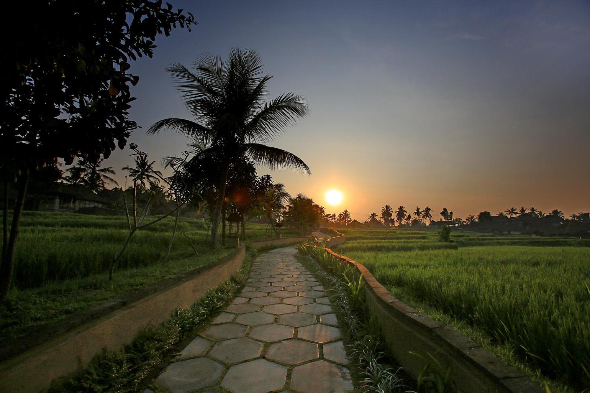 Wapa Di Ume Ubud Exterior photo