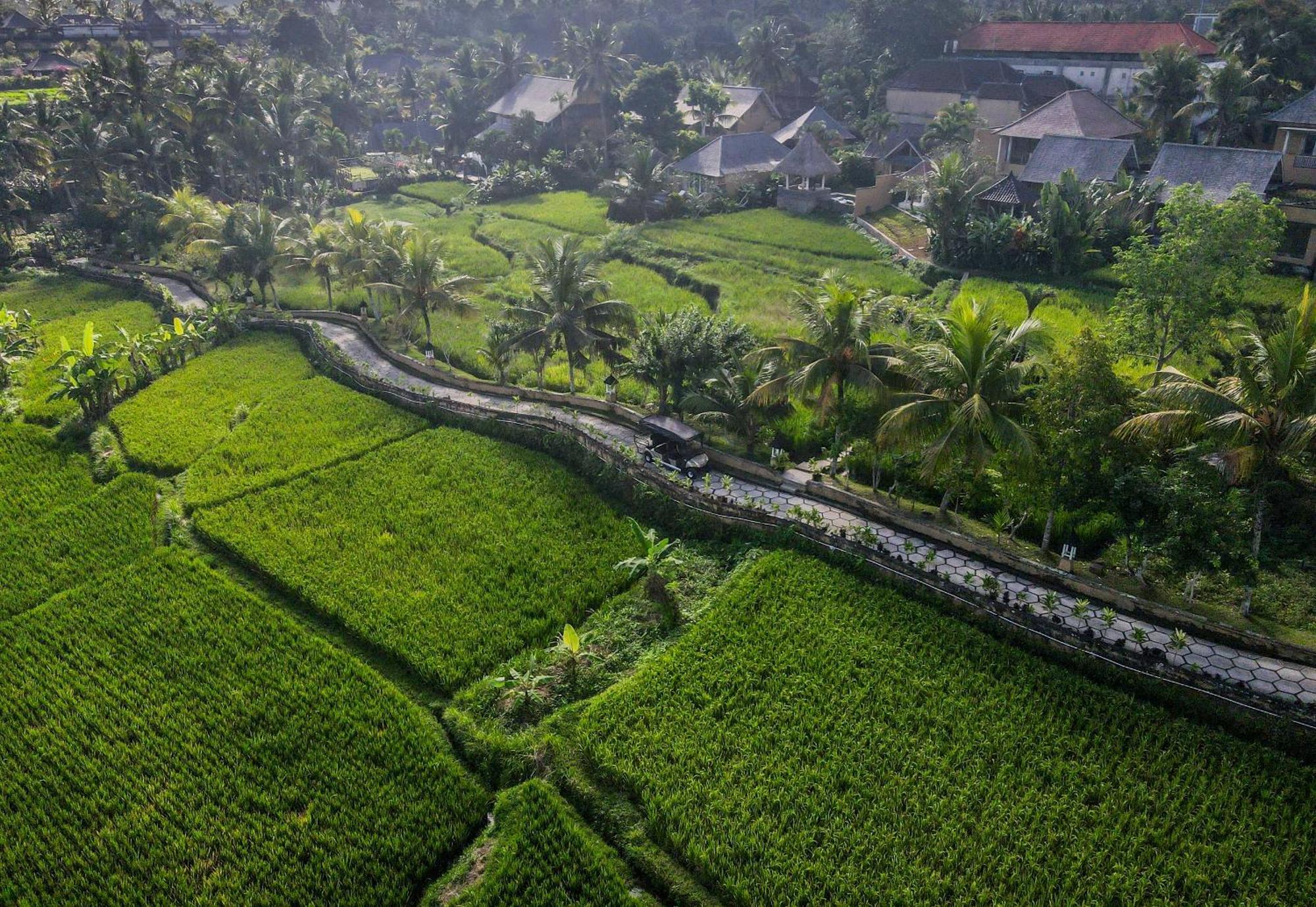 Wapa Di Ume Ubud Exterior photo