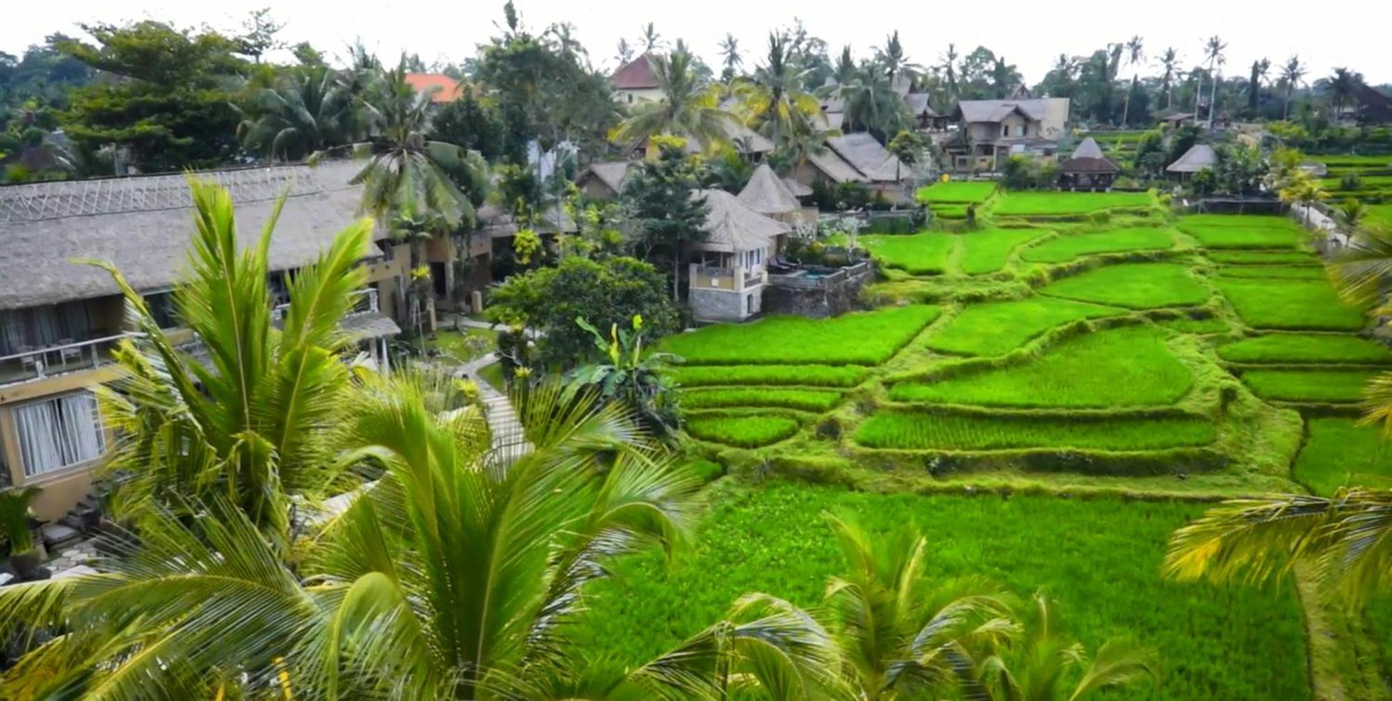 Wapa Di Ume Ubud Exterior photo