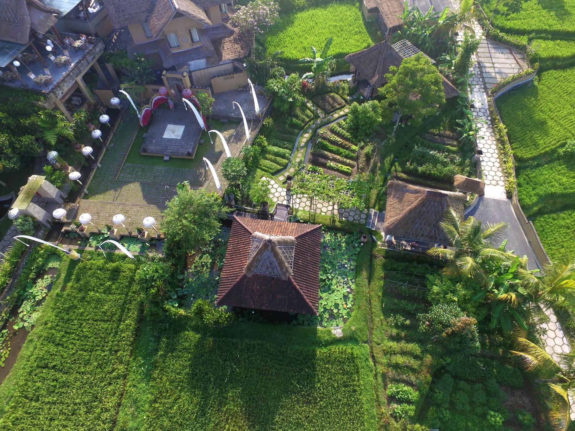 Wapa Di Ume Ubud Exterior photo
