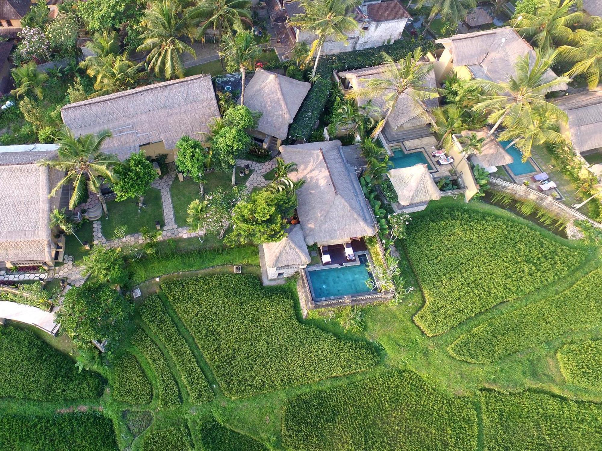 Wapa Di Ume Ubud Exterior photo