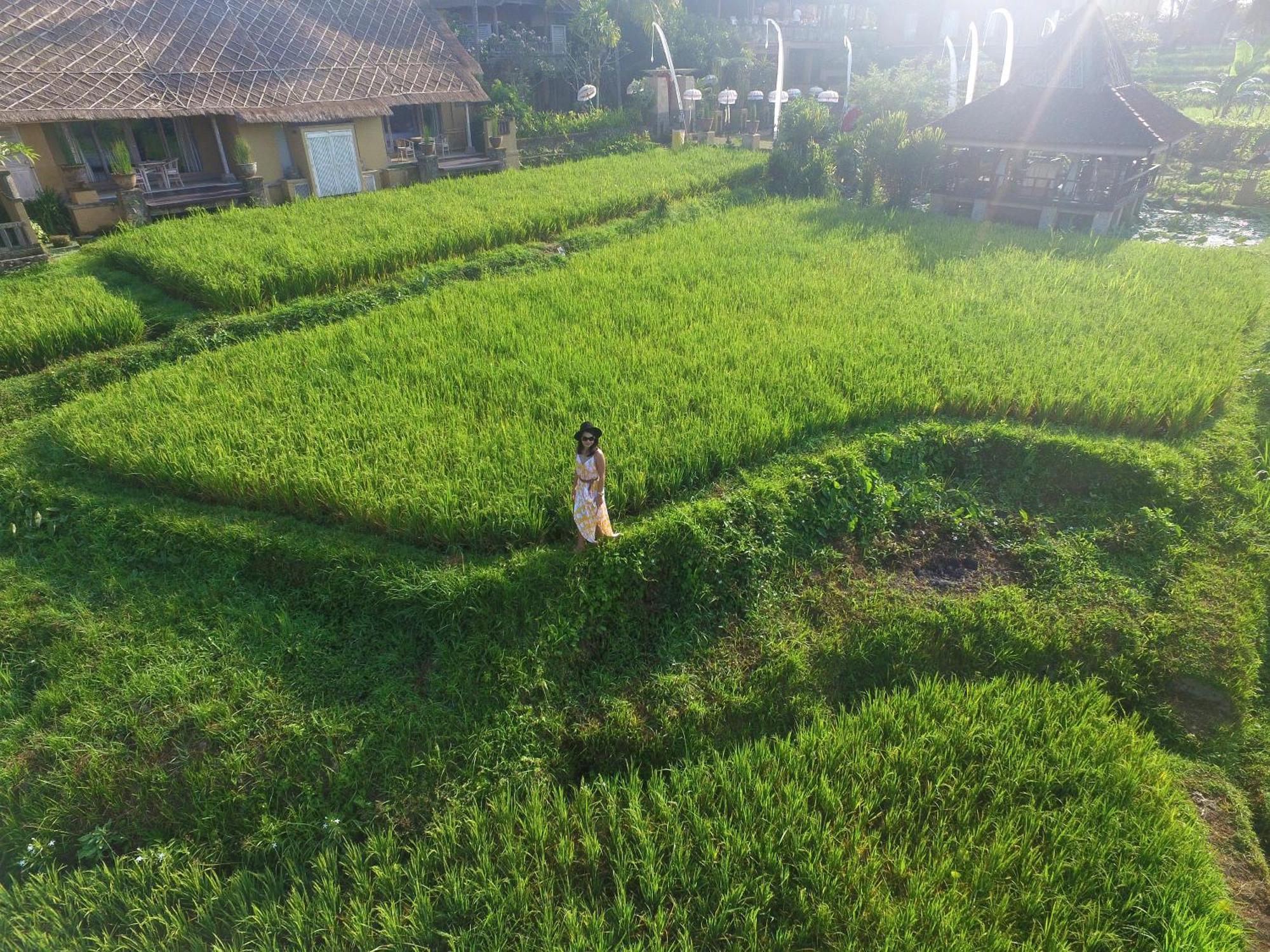 Wapa Di Ume Ubud Exterior photo