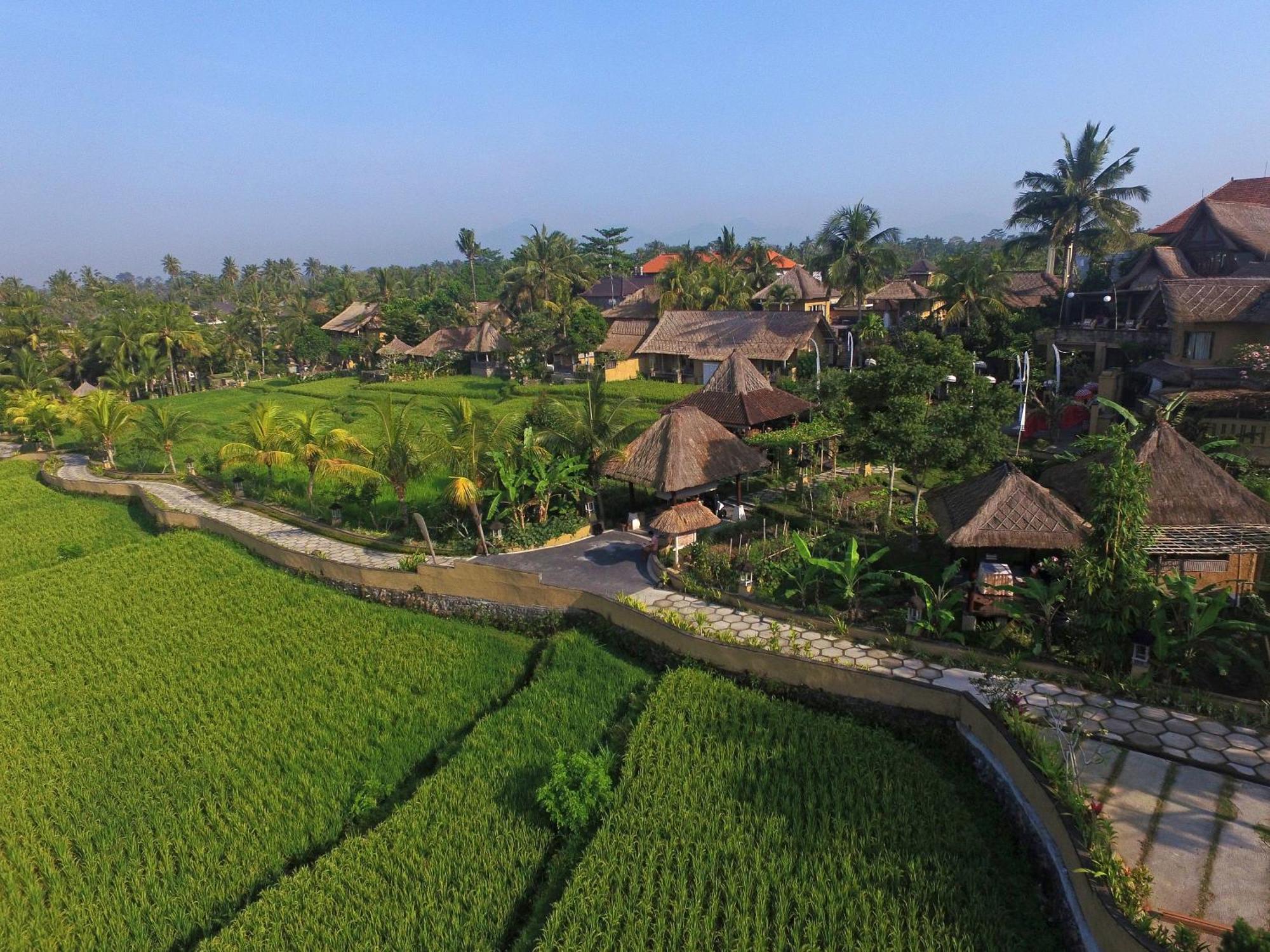 Wapa Di Ume Ubud Exterior photo