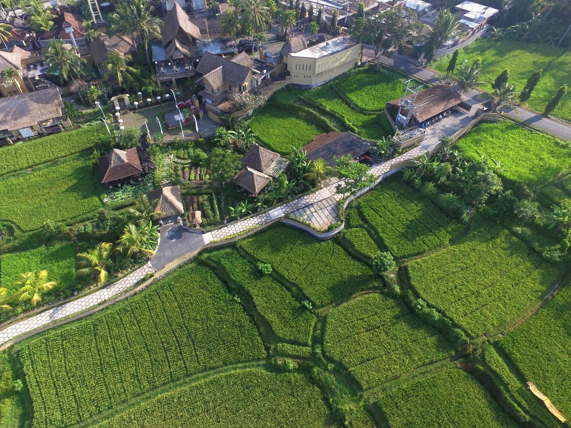 Wapa Di Ume Ubud Exterior photo